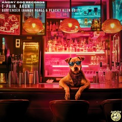T-Pain, Akon - Bartender (Randy Perez & Peachy Keen Edit) Free Download