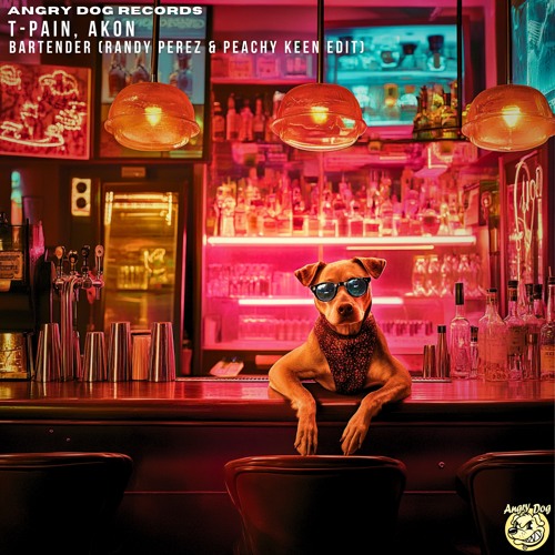T-Pain, Akon - Bartender (Randy Perez & Peachy Keen Edit) Free Download