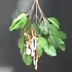 Don't You Know (feat. Godspeed)