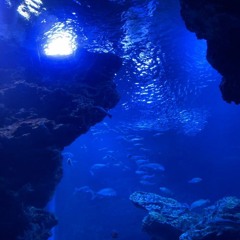 深海病院 -Deep Sea Hospital-