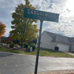 1 Down 1 to go Prod by beatsbyjxckk ft Nsdx19 & LilA