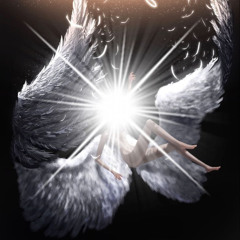 ˚₊‧꒰ა 𝒢𝐿𝒜𝒮𝒮 𝒲𝐼𝐼𝐼𝒩𝒢𝒮 ໒꒱ ‧₊˚