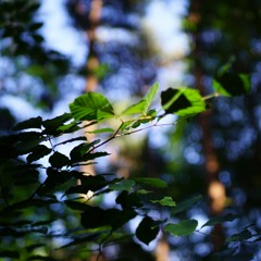 572 [March mix, vinyl only]