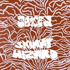 Skinny Wizard - Space'd Guest 009