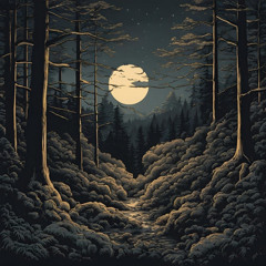 The Night In The Forest
