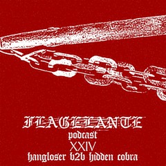 CHAPTER XIV: HANGLOSER B2B HIDDEN COBRA