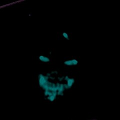 ＲＡＧＥＳＴＡＴＥ💢(w/ Jay$awn) [prod. by choko kid.]