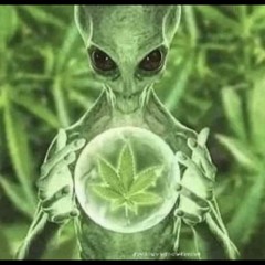 SEX PLAYLIST