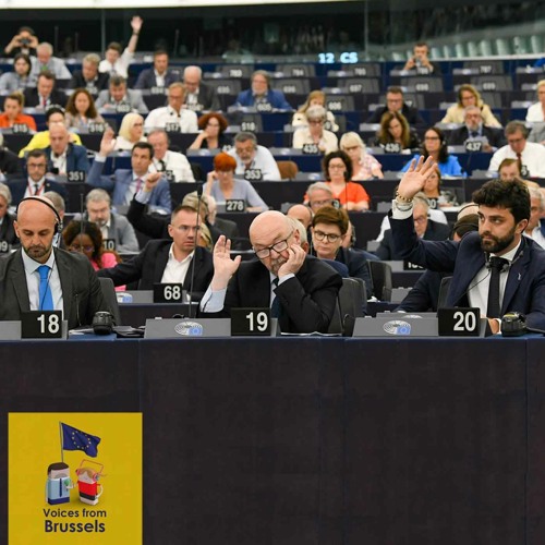 Marco Zanni, Italian MEP, ID President - “ID Should Be More United” (In Italian)