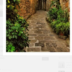 #جديد | نور أطل على الحياة رحيما | أحمد النفيس