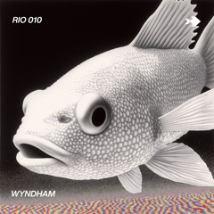 Rio 010 - Wyndham