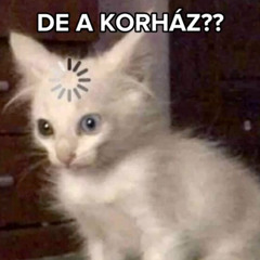 DonDanos - De a kórház?
