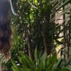 Dreams by Fleetwood Mac cover