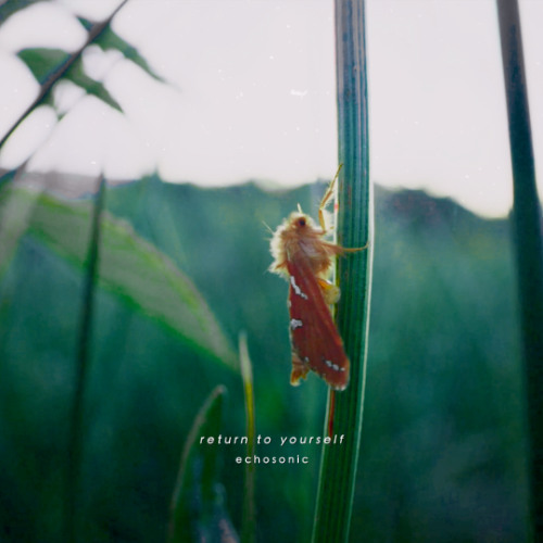 Return to Yourself | The Path Back to the Silent Truth