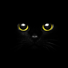 Dark Space Part. 16 - Mix & Selection By Stefano