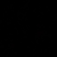 Untitled Playlist