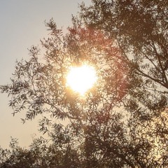 Everything will be alright