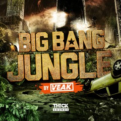 Big Bang Jungle by Veak [Loopmasters]