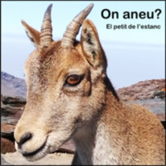 On aneu?