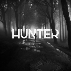 Björk - Hunter (Ali Salahov Remix)