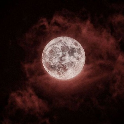 (FREE) Pharaoh x White Punk Type Beat - "On the Moon" (prod.khaaron)