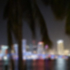 T H E  D R E A M 厳 し い 夢