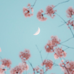 Exit Music On Old Piano