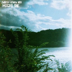 MICRO ONE - JUDESY AŠARŲ NĖR