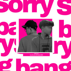 Sorry Bang (Remix) [feat. Haikal RMX]
