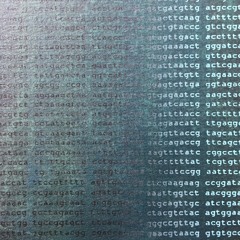 Gattaca Original Mix