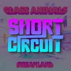Glass Animals - Heat Waves (Short Circuit Remix)