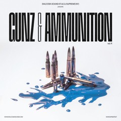 GUNZ & AMMUNITION - VOL.4