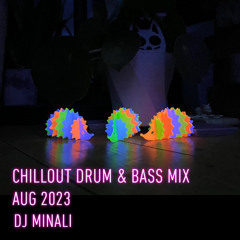 Chillout Drum and Bass Mix / Aug 2023 / DJ Minali