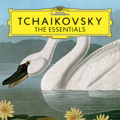 Tchaikovsky: Violin Concerto in D Major, Op. 35, TH. 59: III. Allegro vivacissimo