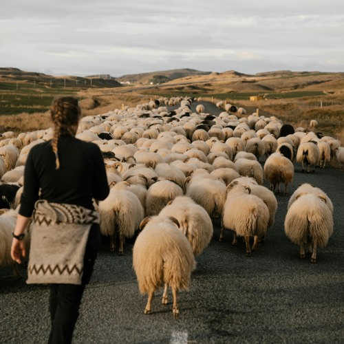 Stream The Lord Is My Shepherd by Casey Fulton | Listen online for free ...
