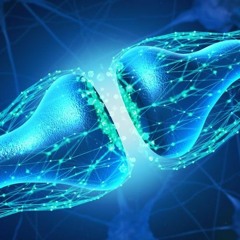 Lukas Neuls @ Da war doch was ?!