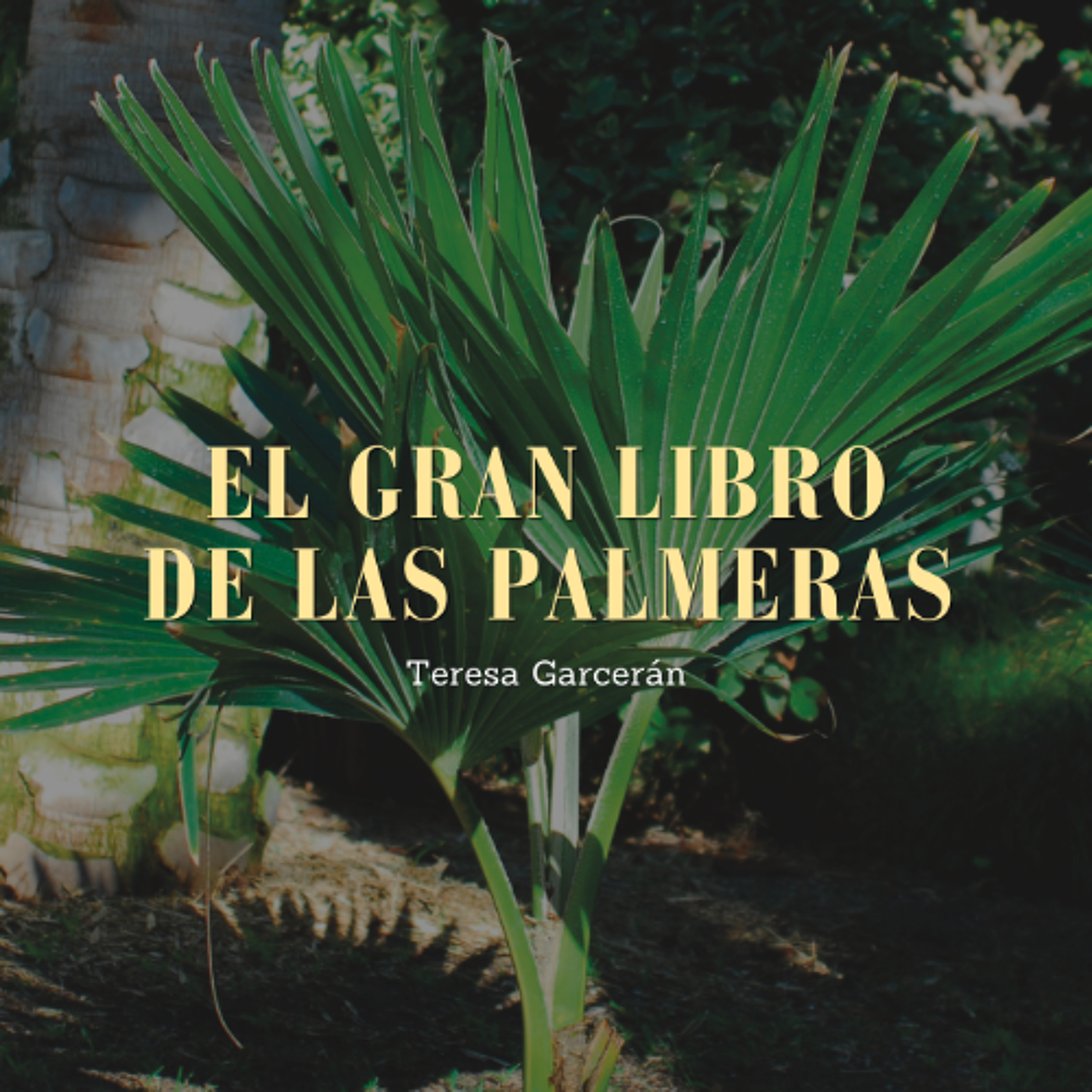 Devecchi Ediciones