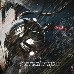 Aerial Flip