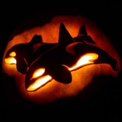 Fergie X FISHER - Losing It (Orca Halloween Intro Edit)