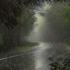 Night Rain