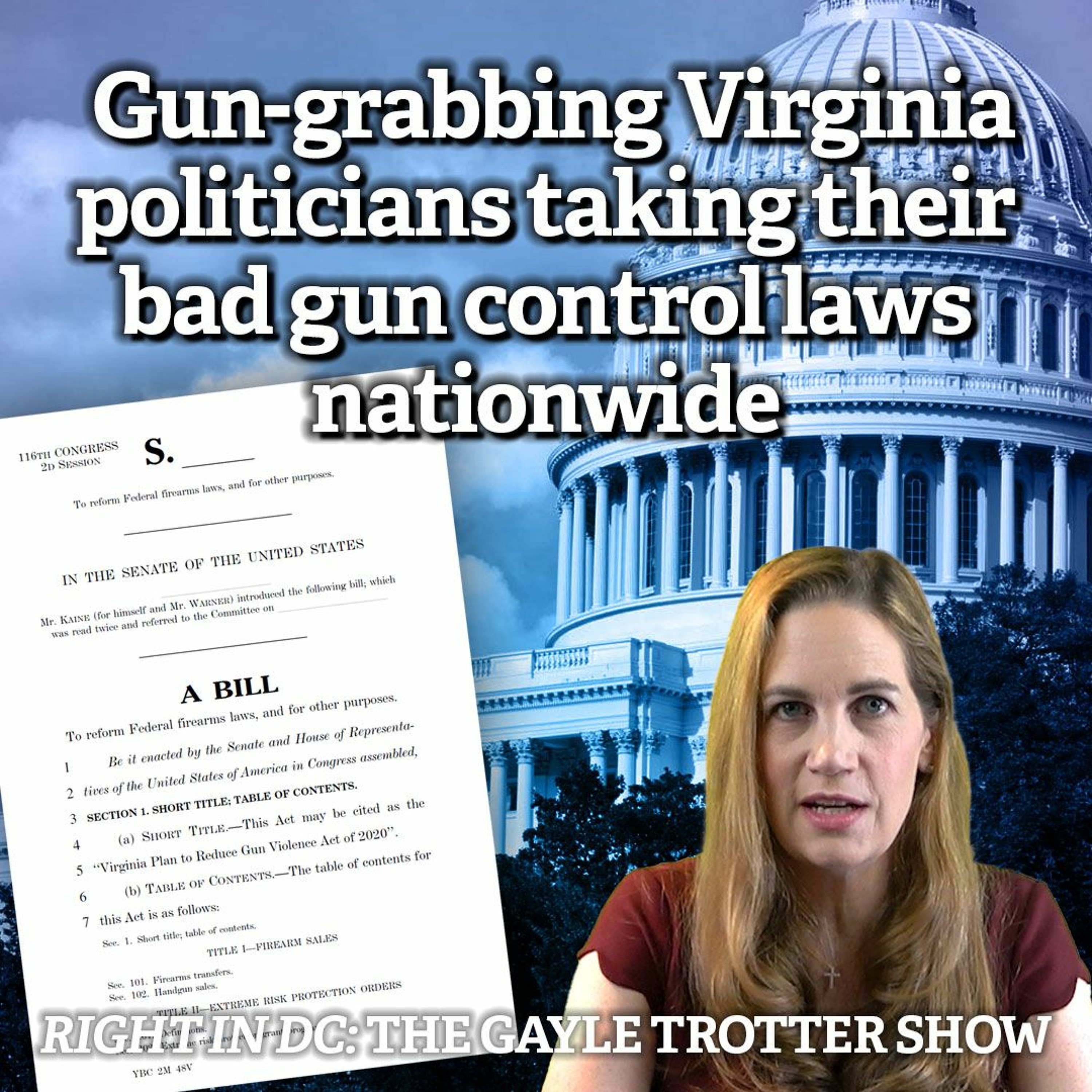 The Virginia Plan: Gun-grabbing Virginia politicians taking their bad gun control laws nationwide episode artwork