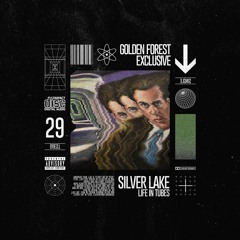 Golden Forest Exclusive 029: Silver Lake - Life in Tubes