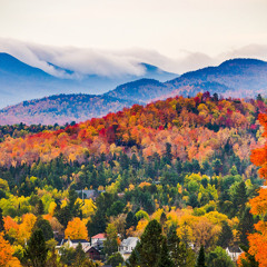 early fall mix