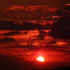 Yung Tony17 x Stizz Dubois Sky red