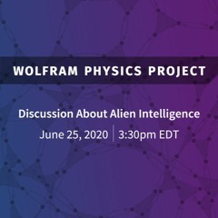 Wolfram Physics Project: A Discussion about Physics Built by Alien Intelligences