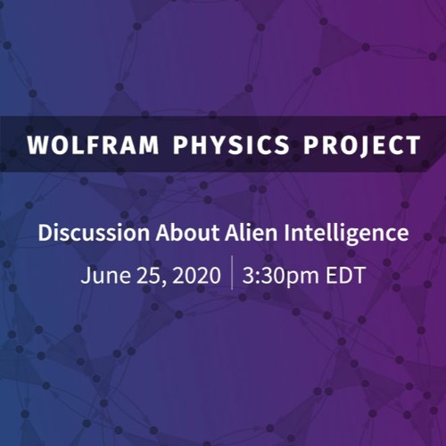 Wolfram Physics Project: A Discussion about Physics Built by Alien Intelligences