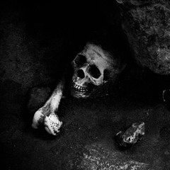 Skin and Bone