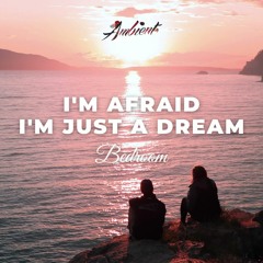 Bedroom - I'm Afraid I'm Just A Dream