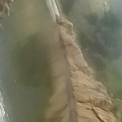 BEST OF THE BEST (1).mp3