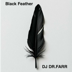 Black Feather